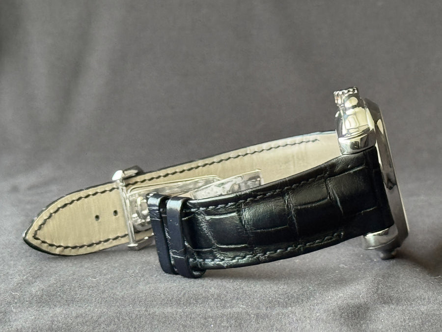 Ulysse Nardin GMT +/- Perpetual watch for Men/Unisex